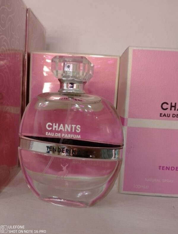 PERFUMES ALTA GAMA B