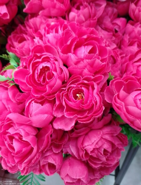 ROSAS DE 18 IDON